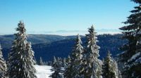 Winterlandschaft mit Alpensicht